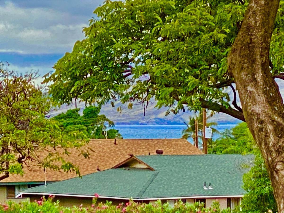 Maui-Licious By The Beach Kihei Eksteriør bilde