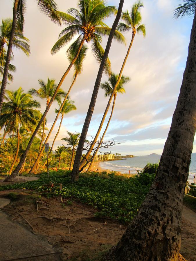 Maui-Licious By The Beach Kihei Eksteriør bilde