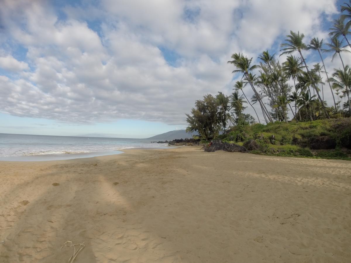 Maui-Licious By The Beach Kihei Eksteriør bilde